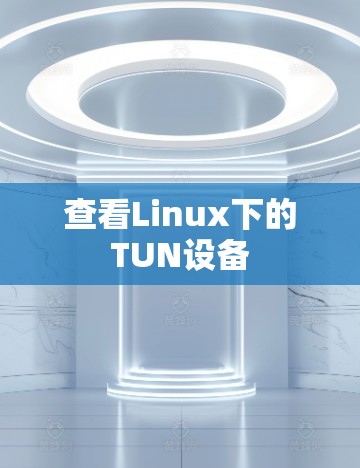 查看Linux下的TUN设备