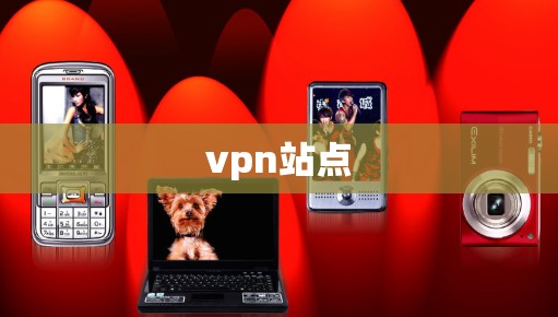 vpn站点